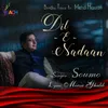 About Dil E Nadaan Song